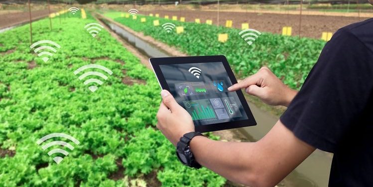 Digitalisasi Pertanian, Upaya Mewujudkan Ketahan Pangan di Era Baru