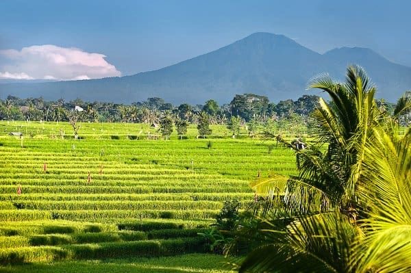Negara indonesia dijuluki sebagai negara agraris karena sebagian besar penduduknya bekerja sebagai
