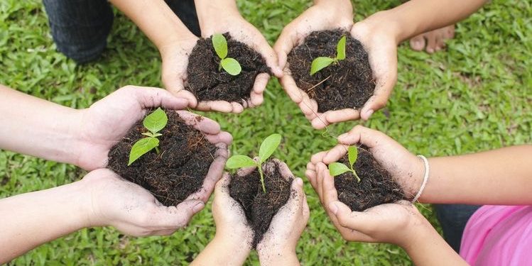 10 Januari jadi Gerakan Satu Juta Pohon Sedunia