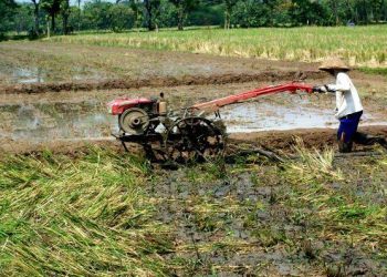 Mahasiswa UMSU Wajib Tahu Jenis-Jenis Alat Pertanian Modern Ini