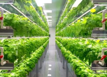 Mentan SYL sebut Urban Farming Sarana Edukasi Bagi Millenial