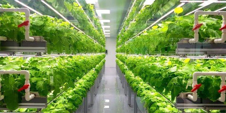 Mentan SYL sebut Urban Farming Sarana Edukasi Bagi Millenial