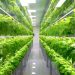 Mentan SYL sebut Urban Farming Sarana Edukasi Bagi Millenial