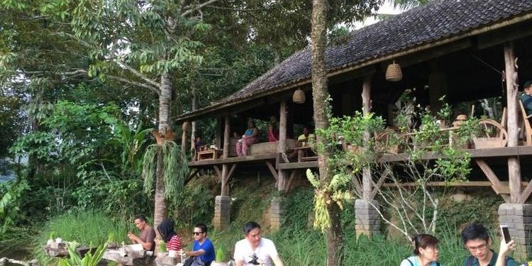 Potensi Wisata Agro Terhadap Pariwisata Indonesia