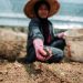 Jenis-Jenis Tanah di Indonesia