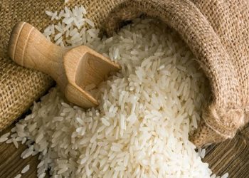 Ada 10 Provinsi Penghasil Beras Terbesar di Indonesia loh ! Yuk Simak Penjelasannya !