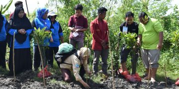 Menjaga Kelestarian Lingkungan, PK IMM FAPERTA Bersama Fakultas Pertanian UMSU Lakukan Penanaman Bibit Mangrove