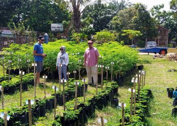 Datang ke UMSU, Mr. James Hancock dari Australia Kunjungi Kebun Percobaan Fakultas Pertanian