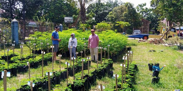 Datang ke UMSU, Mr. James Hancock dari Australia Kunjungi Kebun Percobaan Fakultas Pertanian