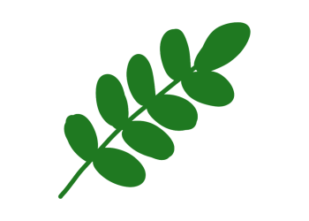 10 Manfaat Daun Bidara