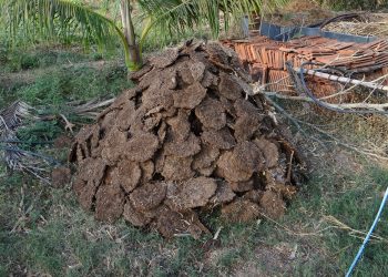 Pengertian Pupuk Organik, Jenis Dan Manfaatnya