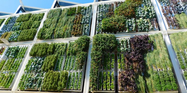 Berkebun di Lahan Minimalis Dengan Konsep Vertical Garden