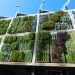 Berkebun di Lahan Minimalis Dengan Konsep Vertical Garden