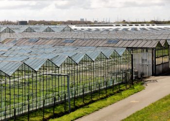 Pengertian Rumah Kaca