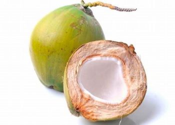 15 Manfaat Air Kelapa Hijau Bagi Kesehatan Anda
