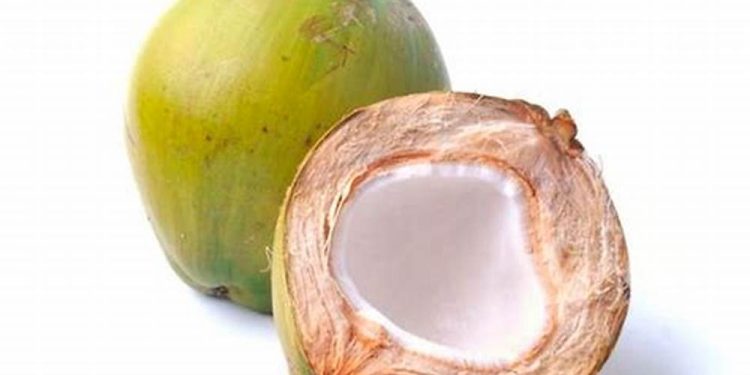 15 Manfaat Air Kelapa Hijau Bagi Kesehatan Anda