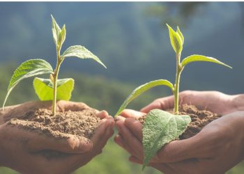 Reboisasi , Pengertian dan Manfaat