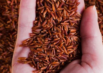 Manfaat Beras Merah untuk Kesehatan: Nutrisi dan Kandungan