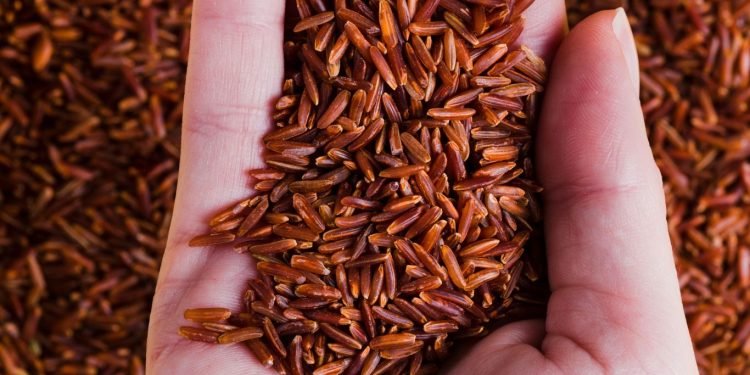 Manfaat Beras Merah untuk Kesehatan: Nutrisi dan Kandungan