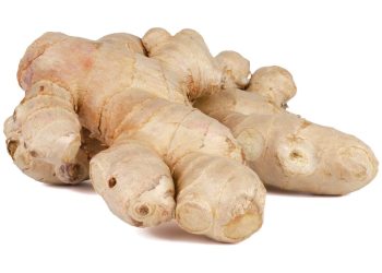 Manfaat Jahe Untuk Kesehatan Tubuh