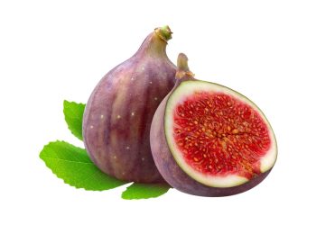 Buah Tin, Kandungan dan 10 Manfaat Kesehatan Tubuh