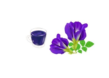 Bunga Telang Manfaat Kesehatan yang Jarang Diketahui