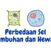 perbedaan sel tumbuhan dan sel hewan