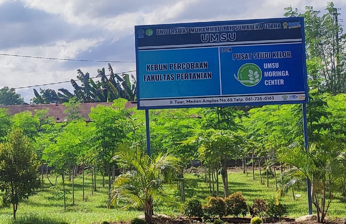 Moringa Center (Pusat Studi Kelor)