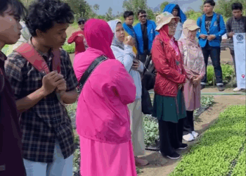 FAPERTA UMSU Laksanakan Kunjungan Lapangan ke Pembibitan SPJ Karo