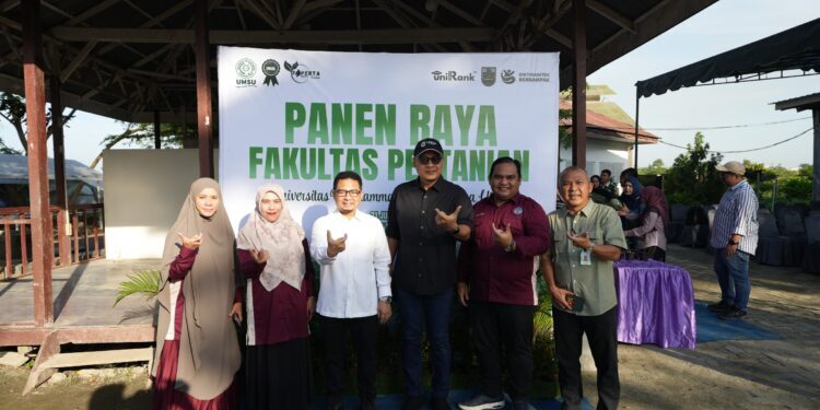 Sukses Kembangkan Inovasi Pertanian Modern, Faperta UMSU Gelar Panen Raya Melon Hidroponik